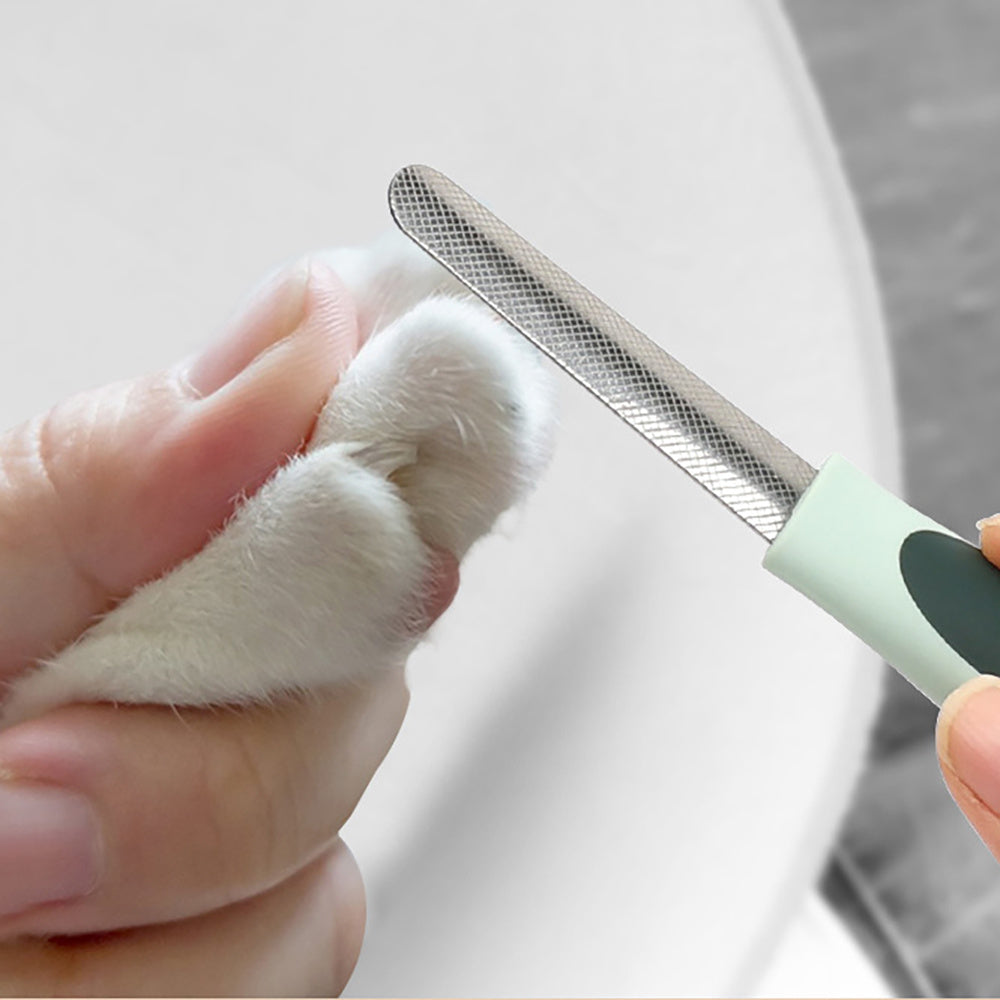 Professional Cordless Dog Grooming Kit โ Quiet Clippers for Thick Coats