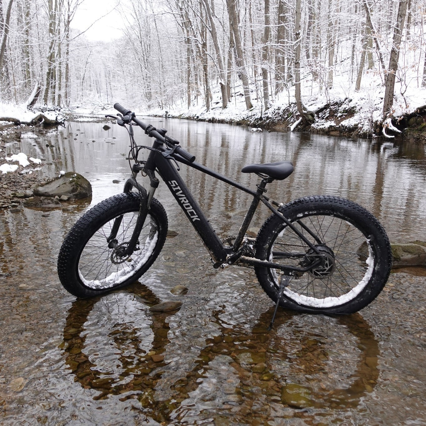 1000W Fat Tire Electric Bike – Mountain, Commute, Trail, Certified