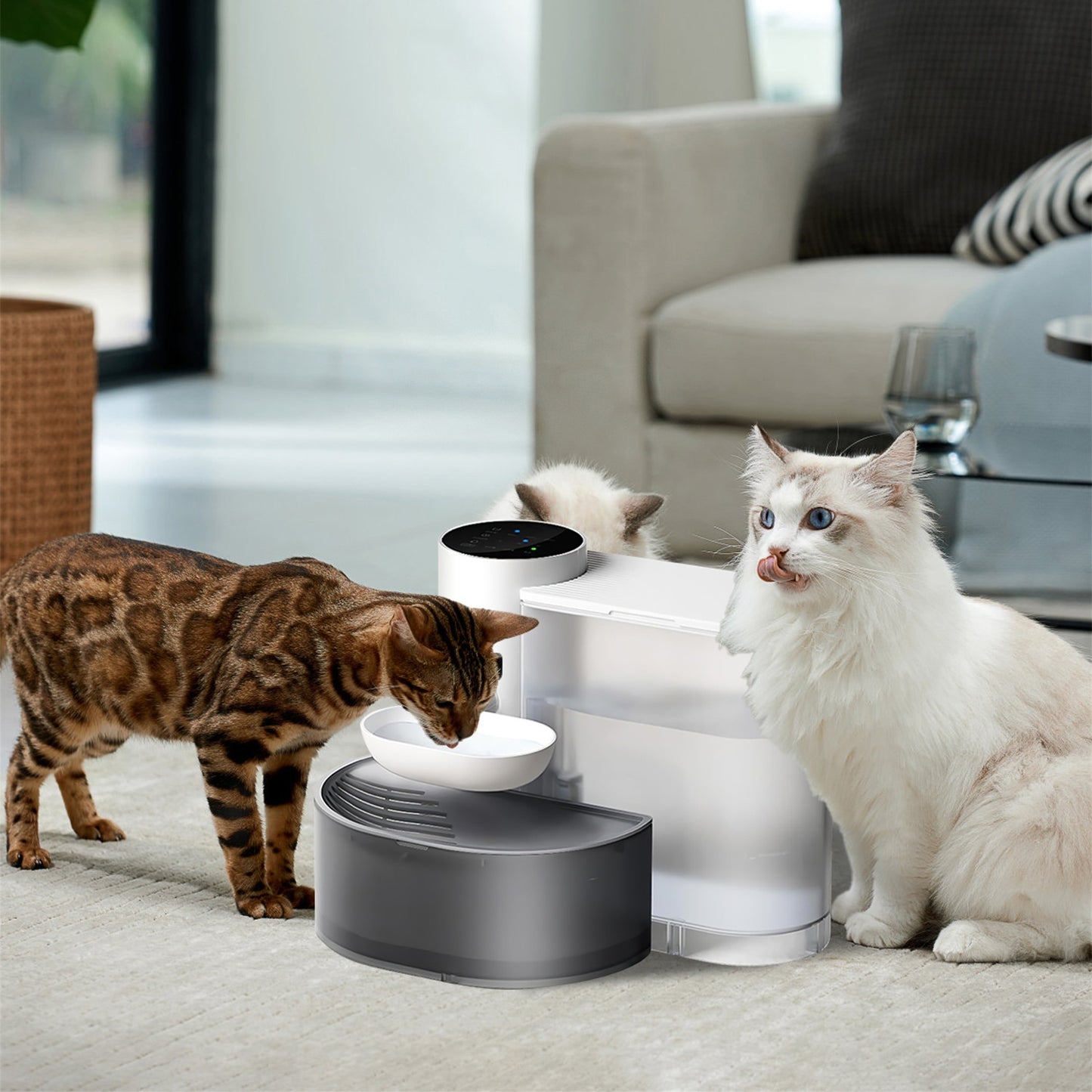 Cordless Smart Pet Water Fountain – 3L, Auto, Adjustable Timer