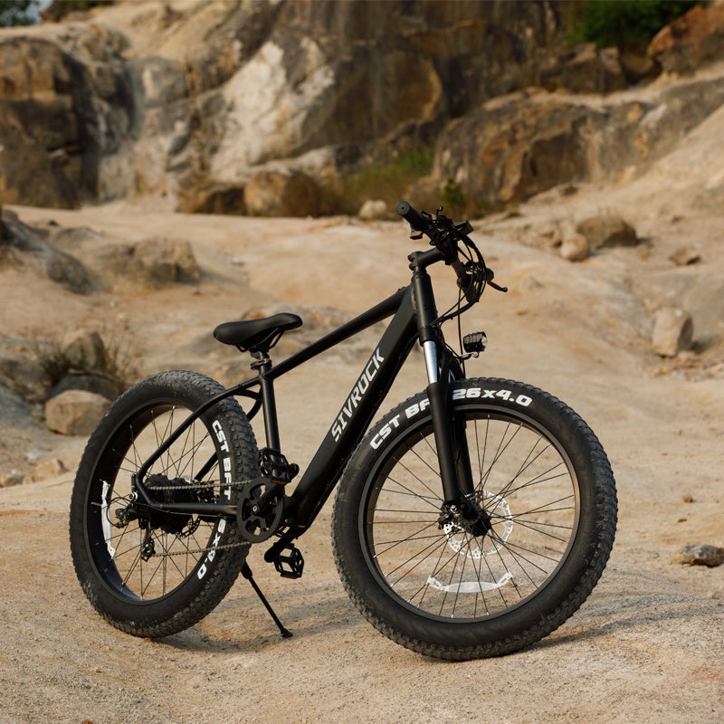 1000W Fat Tire Electric Bike – Mountain, Commute, Trail, Certified