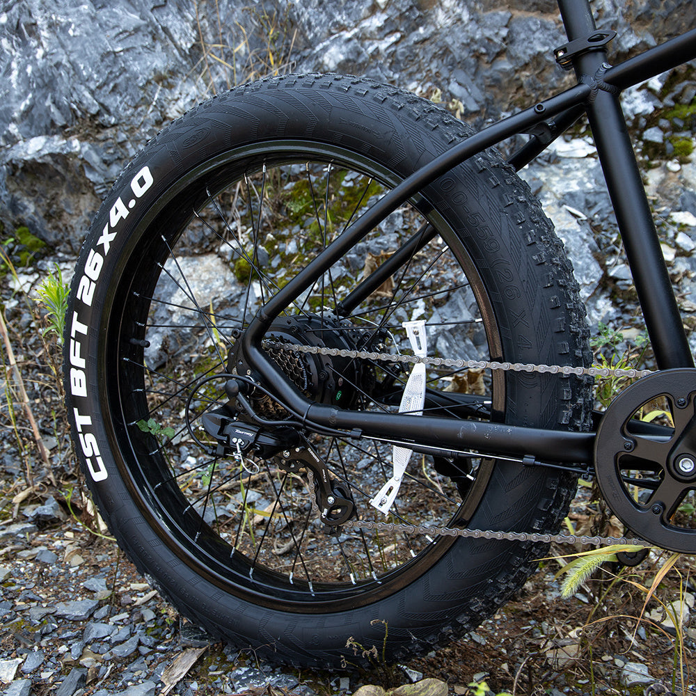 1000W Fat Tire Electric Bike – Mountain, Commute, Trail, Certified